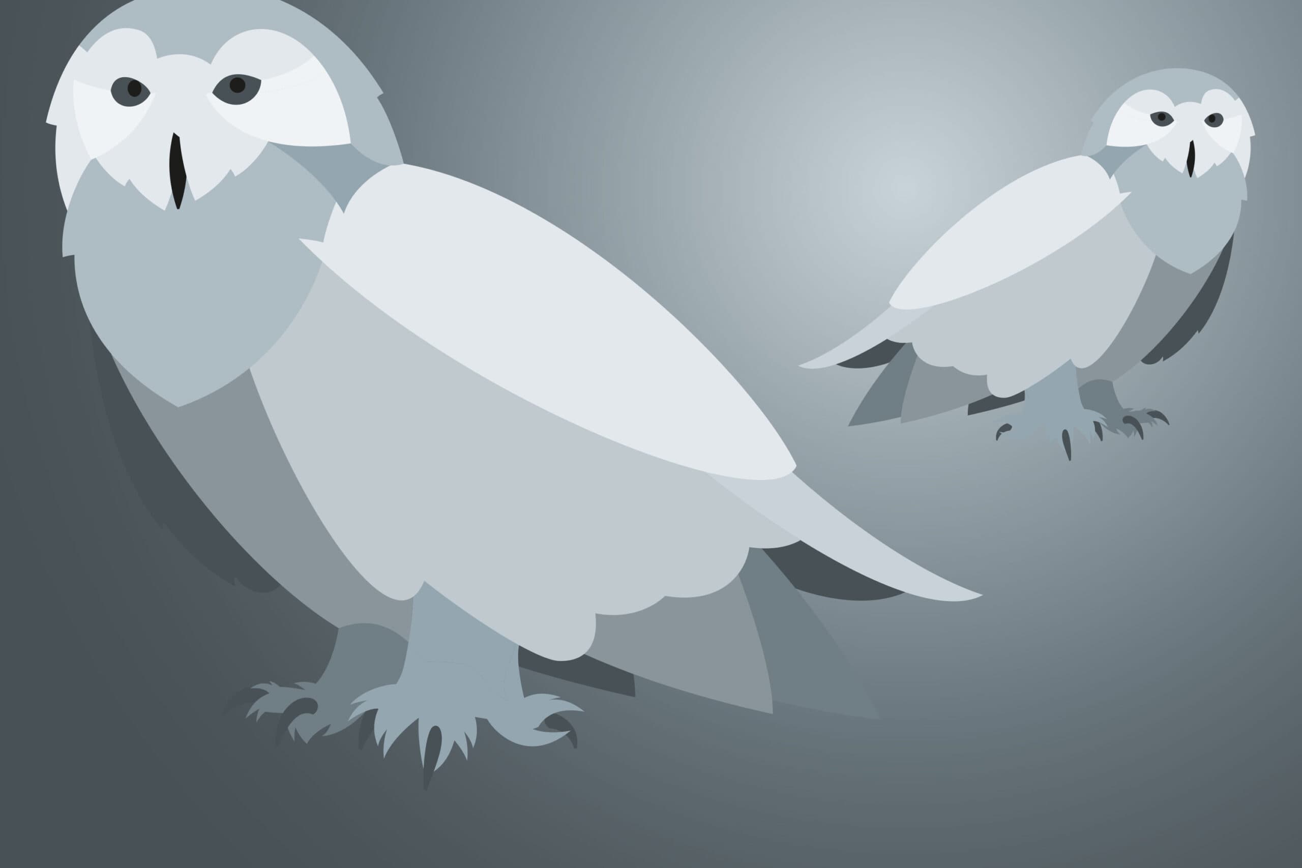 Illustration for CS expertise